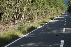 2025-10-00 Tokyo, Japan - Tokyo (58).webp